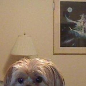 Meet your Posher, Ramon